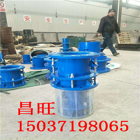�����h�ܵ�CE�;��β��y�a(b��)����λ���a(b��)��������Ӌ(j��)�㼼�g(sh��)����(sh��)��
